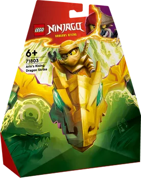 Stavebnice LEGO LEGO Ninjago 71803 Arin a útok draka