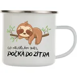 Plecháček - Co neudělám dnes, počká do zítra.