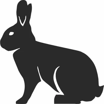 Obraz ZAJÍC - pískování obrázku (Pískování obrázku na sklo z naší nabídky)