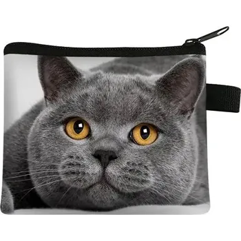 Peněženka Dětská peněženka s motivem kočky - 08