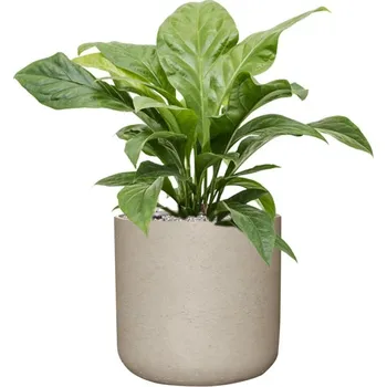 Květináč Květináč Charlie XXL šedý matný 44x43cm + doprava zdarma