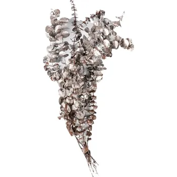 Sušené větvičky eukalyptu Silver Dollar 60 cm stříbrné