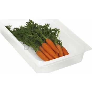 Gastronorm GN 1/1 (h=100 mm) polypropylenová