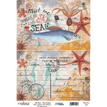 Umělecký papír Cadence Rýžový papír Cadence, A3 - Ryba a pohlednice