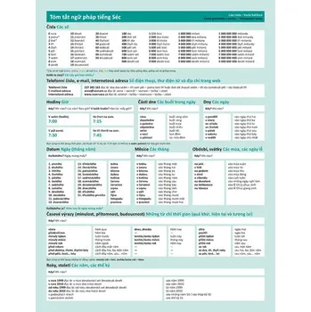 Česká gramatika v kostce vietnamsky - Lída Holá, Pavla Bořilová