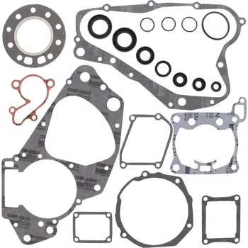 Těsnění motoru Sada těsnění motoru kompletní vč. gufer motoru WINDEROSA CGKOS 811546