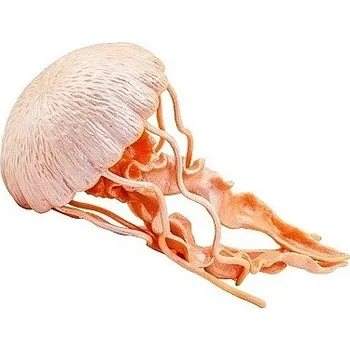 Jednorázové nádobí SAFARI 265529 MEDÚZA