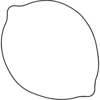 Těsnění motoru Těsnění pod víko spojky WINDEROSA CCG 817521 vnější strana