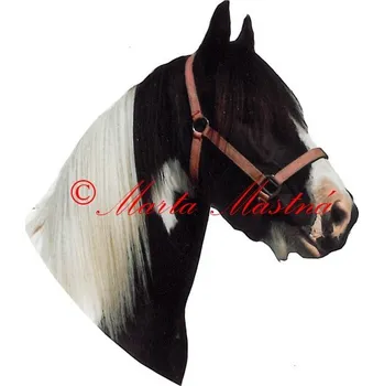 Samolepka irský cob, tinker, kůň, koně - archiv 709