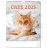 Kalendář Presco Group Nástěnný kalendář Kočky 2025