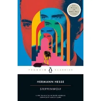 Cizojazyčná kniha Steppenwolf