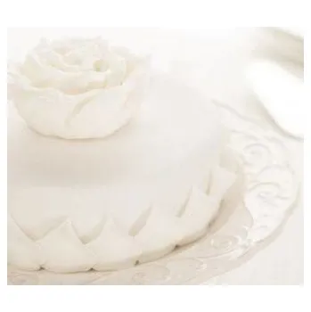 Roll Decor potahovací hmota 2,5kg