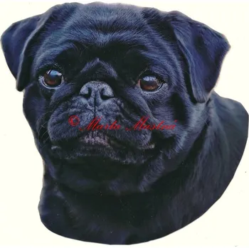 Samolepka mops černý 402