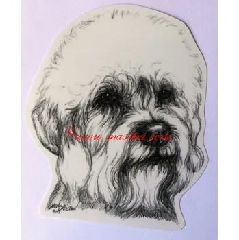 Samolepka Dandie Dinmont teriér - archiv c577 - Malá - přibližně jako pohlednice