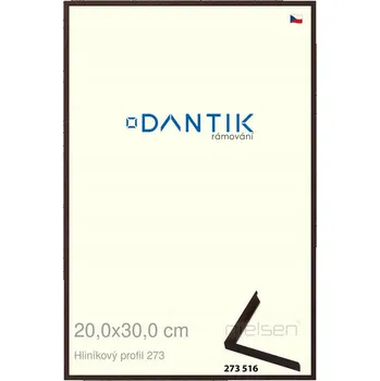 Obraz DANTIK Rámeček na jednu fotku 30 x 20 cm