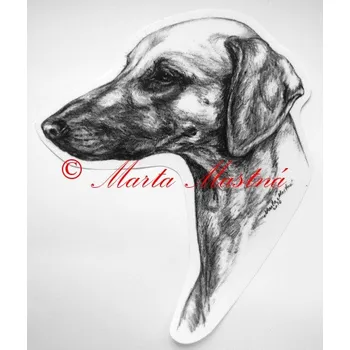 Samolepka slugi, arabský chrt - sloughi - archiv c436 - Malá - přibližně jako pohlednice