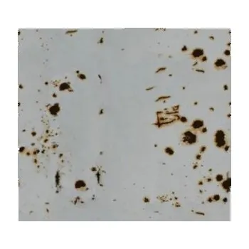 Polep vozidla Rezavá TLKR-431 auto wrap fólie 152x1000cm - interiér/exteriér