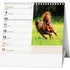 Kalendář Baloušek Tisk Stolní kalendář Ideál Koně 2025