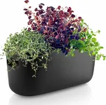 Samozavlažovací květináč na bylinky Eva Solo HERB černý