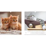 MFP Nástěnný malý kalendář Cats 2025