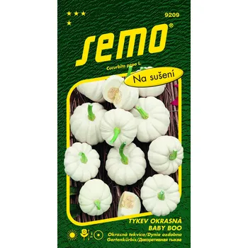 Zahrada Semo Tykev okrasná - Baby Boo