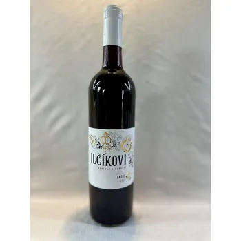 André 2023, moravské zemské víno, Rodinné vinařství Ilčíkovi, suché