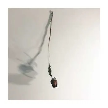 Zahraniční hudba LP mmph: Dear God 2018