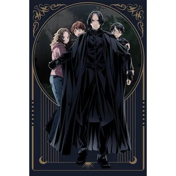 Plakát Plakát, Obraz - Harry Potter - Snape the Protector