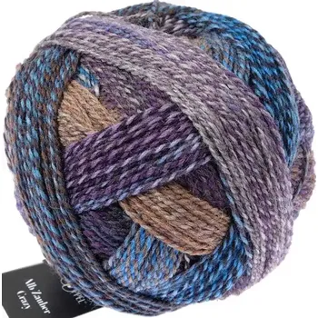 Příze Schoppel Wolle Alb Zauber Crazy 2534 Gute Stube (Vlněná příze Alb Zauber Crazy 2534 Gute Stube)