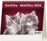 Helma365 Stolní kalendář Kočičky 2025