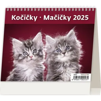 Kalendář Helma365 Stolní kalendář Kočičky 2025