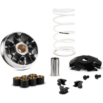 Tuning Malossi Variátor Multivar Vision 110 5119670