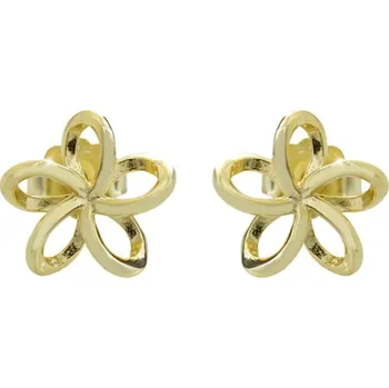 Náušnice Pozlacené stříbrné náušnice s motivem mini propletený květ