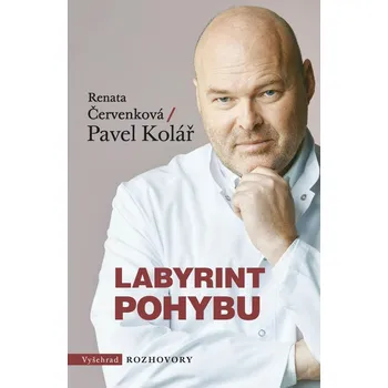Kniha Labyrint pohybu