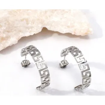 Náušnice Náušnice stříbrné z chirurgické oceli zdobené po obvodu 21067