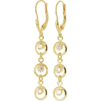 Náušnice Zlacené stříbrné visací naušnice se zirkony STNAU1940F