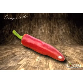 Semeno chilli-semena Serrano Chilli