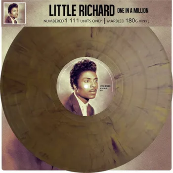 Zahraniční hudba Richard Little: One In A Milion - Vinyl (LP)