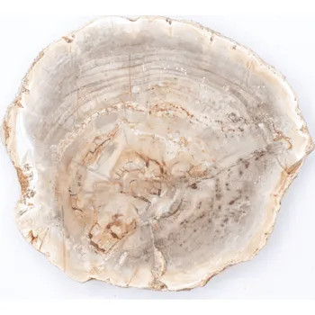 Přírodní kámen Milujeme Kameny Zkamenělé dřevo - zkamenělina ZD14 406063