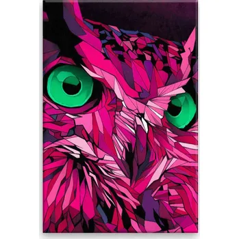 Obraz Obraz na plátně - Pohled sovy - 40x60 cm - CZ výroba