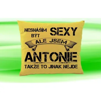 Dekorativní polštářek Polštář se jménem ANTONIE Béžový (polštářek nesnáším být sexy ale jsem ???)
