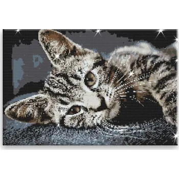 Diamantové malování Diamantové malování - Mourovatá kočka - 60x40 cm, bez dřevěného rámu - CZ výroba