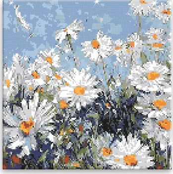 Diamantové malování Diamantové malování - Kopretinová louka - 40x40 cm, bez dřevěného rámu - CZ výroba