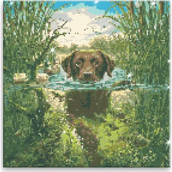 Diamantové malování Diamantové malování - Pes v řece - 40x40 cm, bez dřevěného rámu - CZ výroba