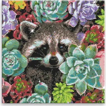 Diamantové malování Diamantové malování - Mýval v sukulentech - 40x40 cm, bez dřevěného rámu - CZ výroba