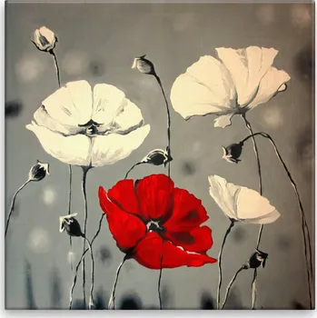 Obraz Obraz na plátně - Vlčí mák rudá - 40x40 cm - CZ výroba