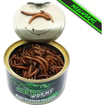 Návnadová surovina Naložení mouční červi (Přirozená nástraha!!)