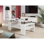 Konferenční stolek Troy, Barva: bílá MIRJAN 5902928800739