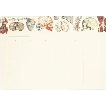Kalendář Cognitive Surplus Kalendář s anatomickým motivem