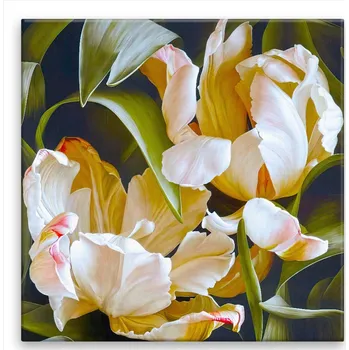 Obraz Obraz na plátně - Dva okrasné tulipány v odkvětu - 40x40 cm - CZ výroba